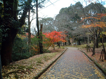 若草山から東大寺へ